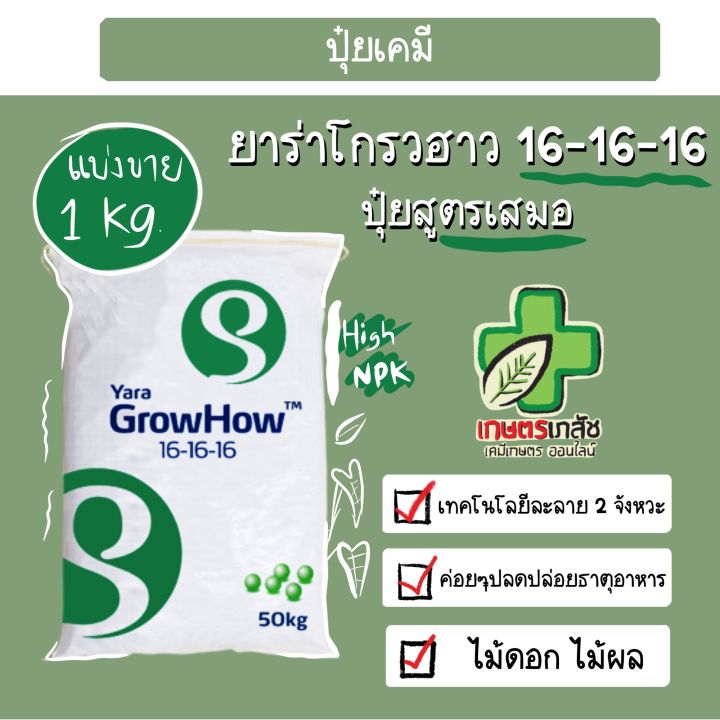 ปุ๋ยยาร่า โกรวฮาว 16-16-16 บำรุงไม้ดอกไม้ประดับ