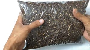 BLACK MILLET (1KG REPACKED)