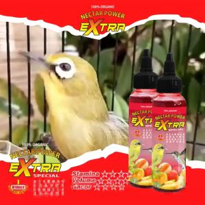 Extra Nectar Concentrate Vitamin Nektar Gacor Pleci Kolibri Sogon