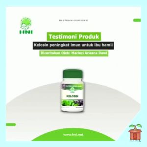 Kapsul Kelosin HNI HPAI Daun Kelor Pegagan Buah Bilberry Ekstrak Herbal Alam 50 Syaraf Ibu Hamil
