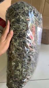 1 kg lá Bồ công anh vụ mới phơi khô xanh sạch và thơm lắm trà bồ công anh thanh nhiệt lợi sữa mát sữa ngừa u xơ