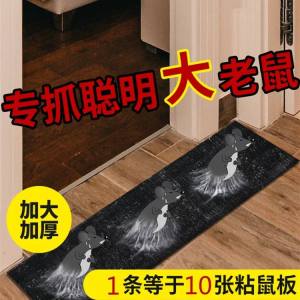 Readystock现货🇲🇾120cmx27.5cm 超强力粘鼠板捉粘大老鼠贴沾胶抓灭鼠捕鼠神器正品家用高效捉老鼠 mouse trap sticky glue trap