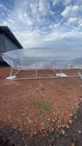 พลาสติกคลุมโรงเรือน [ยาว 5 เมตร] หน้ากว้าง 3 4 5 6 เมตร หนา 100 150 200 ไมครอน มีสารป้องกัน UV7%