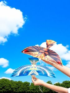 JIXIN | Educational Outdoors Wing Flapping Large Bird Assemble Model Toy