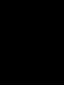 Floor Drain Stainless Steel U-Type Floor Drain Core Deodorant Deep Water Seal Sewer Sink Cover Strainer