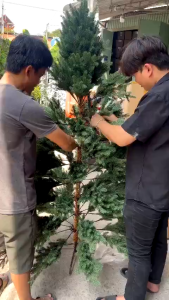 Cây Thông Full Lá PE C67 Cao Cấp Trang Trí Noel Giáng Sinh - Cây Thông Decor Giáng SinhNoel TTNTSS074