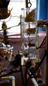 Featherland Paradise Sliding Doors and Drawers