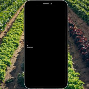 Anti serangga pokok di rumah Ants Eco-friendly Garden Home Organik  Organic Pesticide 蚂蚁环保花园家庭有机有机农药