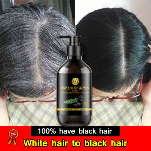 Black Hair Shampoo Herbal Shampoo 300ml Hair Growth Anti Hair Loss Shampoo Natural Blackening Black Shampoo For Hair 何首乌洗发水
