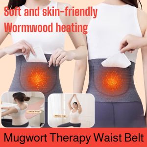 Mugwort Heating Waist Support Belt Waist Protector Trimmer Belt Reduce Muscle Pain