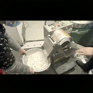 Commercial Use Vegetable Cutter Slicer