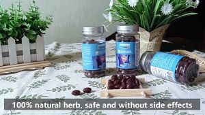 Obat Cina Pengapuran Osteoarthritis Asam Urat Nyeri Sendi Sakit Lutut Articular Capsule Daynee Isi 500Mg * 100 Softgel