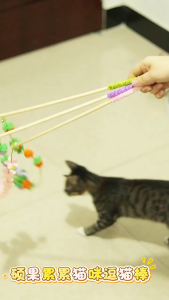 CẦN CÂU TRÁI HỒNG ĐỒ CHƠI CẦN CÂU CHO MÈO VUI NHỘN DỄ THƯƠNG