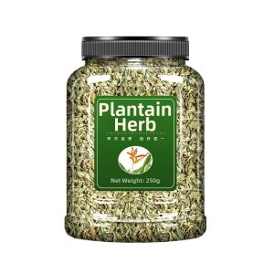Wild Fresh Plantain Herb 500g