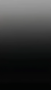 Peredam Shock Anti Jedug Universal Matic