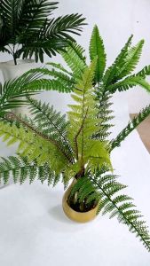 Daun Palem Aa Duri Pakis Gelombang Boston Cabang 9: Hiasan Cafe & Dekorasi Pernikahan