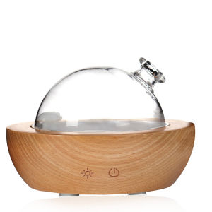 180Ml Nature Wood Home Ultrasonic Cold Air Mist Essential Oil Aromatherapy Aroma Diffuser Humidifier with Bluetooth Audio