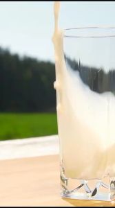 SR12 Gomilku Gold Susu Terenyuh 200gr