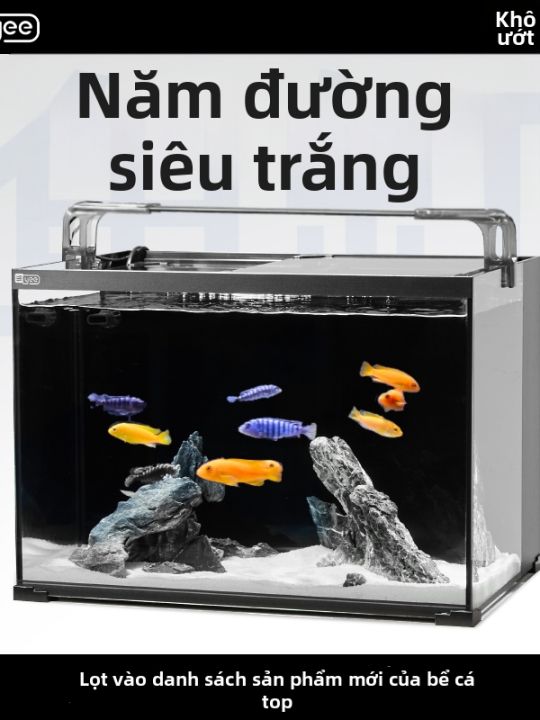 Yee | Bể Cá Để Bàn Kính Trong Nhỏ | Lazada.vn