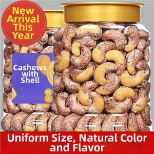 Large Purple Shell Salted Roasted Unshelled Cashew Nut Snack