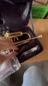 Kèn trumpet Victo giá rẻ học sinh