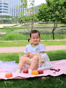 PlayPark Portable Baby Booster Seat Foldable Travel High Chair Toddler Feeding Eating Chair Camping Chair for Baby