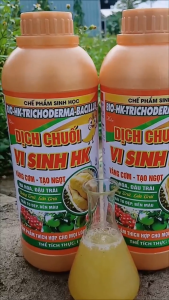 Phân Dịch Chuối vi sinh chuyên tạo vàng cơm ngọt trái đồng thời giúp trái lớn nhanh chống sượng bổ dung Kali cao chai 1 lít