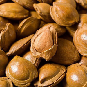 Hand Shelled Roasted Thin Shell Almonds Bagged
