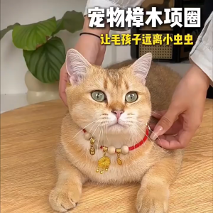 Puppy ปลอกคอไม้การบูรสำหรับแมวและสุนัข ป้องกันหมัด สร้อยคอสัตว์เลี้ยง QHMPS00640