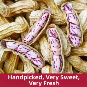 Multicolor Shell Peanuts Cooked Original Salty