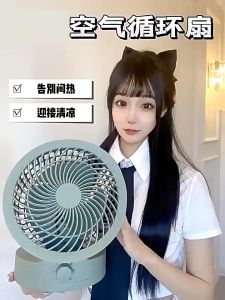 Household Folding Electric Mini desktop Fan Small Intelligent Electric Quiet Air Circulation Timing Fan Air Cooler Remote Desk Fan