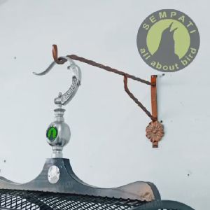 SEMPATI Gantungan Sangkar Burung Pot Bunga Besi Ulir Tempel Tembok Chrome 40cm Double Material Tebal Cantolan Kandang Murai Batu Kacer Lovebird Cucak Ijo Kenari Pleci Branjangan Kolibri