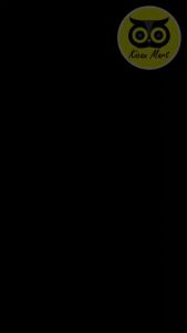 Kicau Mart Bral Brul Pakan Jangkrik Makanan Nutrisi Jangkrik Bralbrul Makanan Protein Ulat Pakan Indukan Murai Batu Anis Kacer Gacor 500 Gram