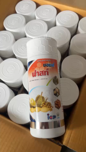 บอมส์ ฟาสท์ (ขนาด 1 ลิตร) กรดอะมิโน ที่สกัดจากโปรตีนพืชด้วยกระบวนการใช้เอนไซน์