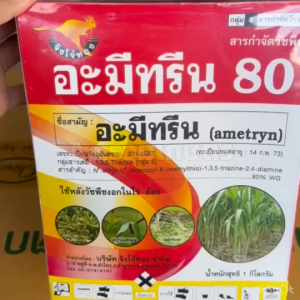 อะมีทรีน 80 WG อามีทรีน (แบบเม็ด ใช้โดรนและคนพ่นได้)  สารกำจัดวัชพืช ในไร่อ้อย ไร่สับปะรด สินค้าผลิตใหม่ ของแท้แน่นอน 💯 1 กก. ตราจิงโจ้ทอง
