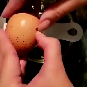 SARINGAN TELUR PEMISAH KUNING DAN PUTIH TELUR ALAT BANTU BUAT KUE PEMISAH TELUR EGG SEPARATOR