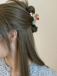 Busan Korean-style Simple Arch-Shaped Vinegar Clip for Women High-End French Feeling Small Hair Clip Not Tessellated
