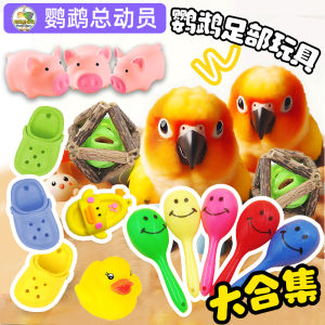 Parrot Toys: Munchkin Hole Shoes & Chewing Boredom Breaker