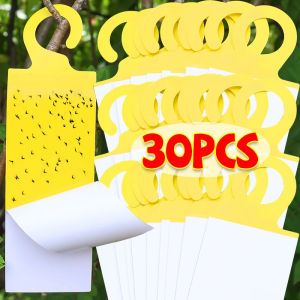 Dizoey 30Pcs Double Sided Sticky Insect Board Sticky Insect Trap Plant Stakes Fruit Fly Trap Pest Control Greenhouse Garden Tools