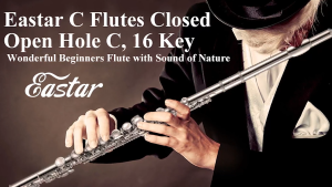Eastar EFL-1 & EFL-2 Flute - Silver/Nickel Plated Open/Close Hole in C