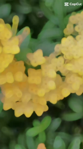 Sách: Yếu Tố May Rủi - The Luck Factor