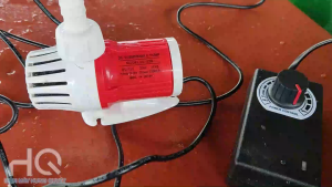 Máy Bơm Chìm 12V DC 20W Mini Không Chổi Than - Bơm Tuần Hoàn Bể Cá Chậu Cảnh Tiểu Cảnh Sân Vườn Phong Thủy