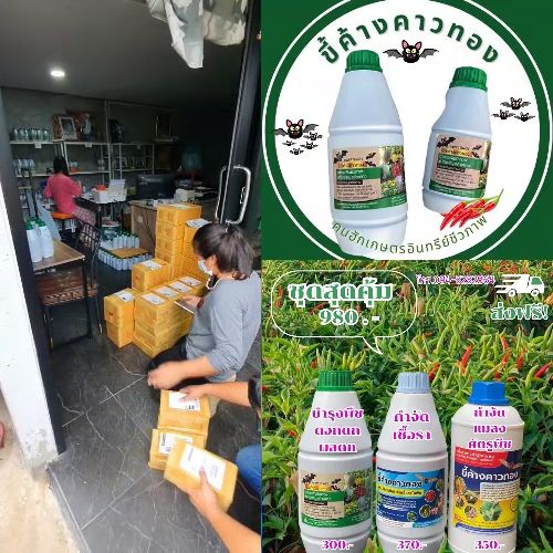 ชุดคู่ป้องกันเชื้อรากำจัดแมลง | Lazada.co.th