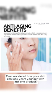 Everfresh Pure Aloe Vera Gel 95% – Natural Anti-Aging Formula (250 ML)