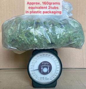 Murang Azolla Natural High Protein Feeds [per kilo available]