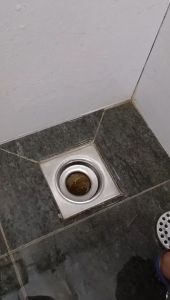 Stainless Steel Toilet Insect proof Floor Drain/Bathroom Floor Strainer Cover/Plug Trap Sink/Penutup Lubang Buang Air Tandas Drain Cover For Toilet Shower Drain Plug - Lazada