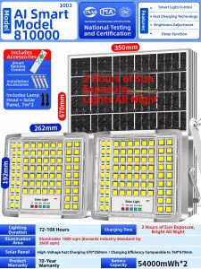 Ultra Bright Solar Lighting Home and Courtyard Use Twin-Control