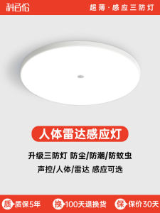 LED Smart Sensor Ceiling Light Ultra-Thin Three-Proof Infrared Human Body Voice-Controlled Stair Radar Aisle Light