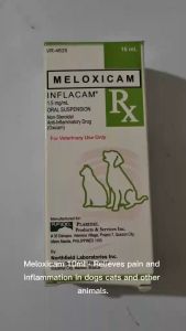 Meloxicam Liquid for Animals Relieve Pain and Swelling Safely for Animals