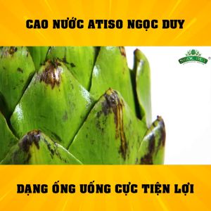 Cao nước Atiso Ngọc Duy hộp 10 ống hỗ trợ thanh nhiệt giải độc Đặc sản Đà Lạt làm quà